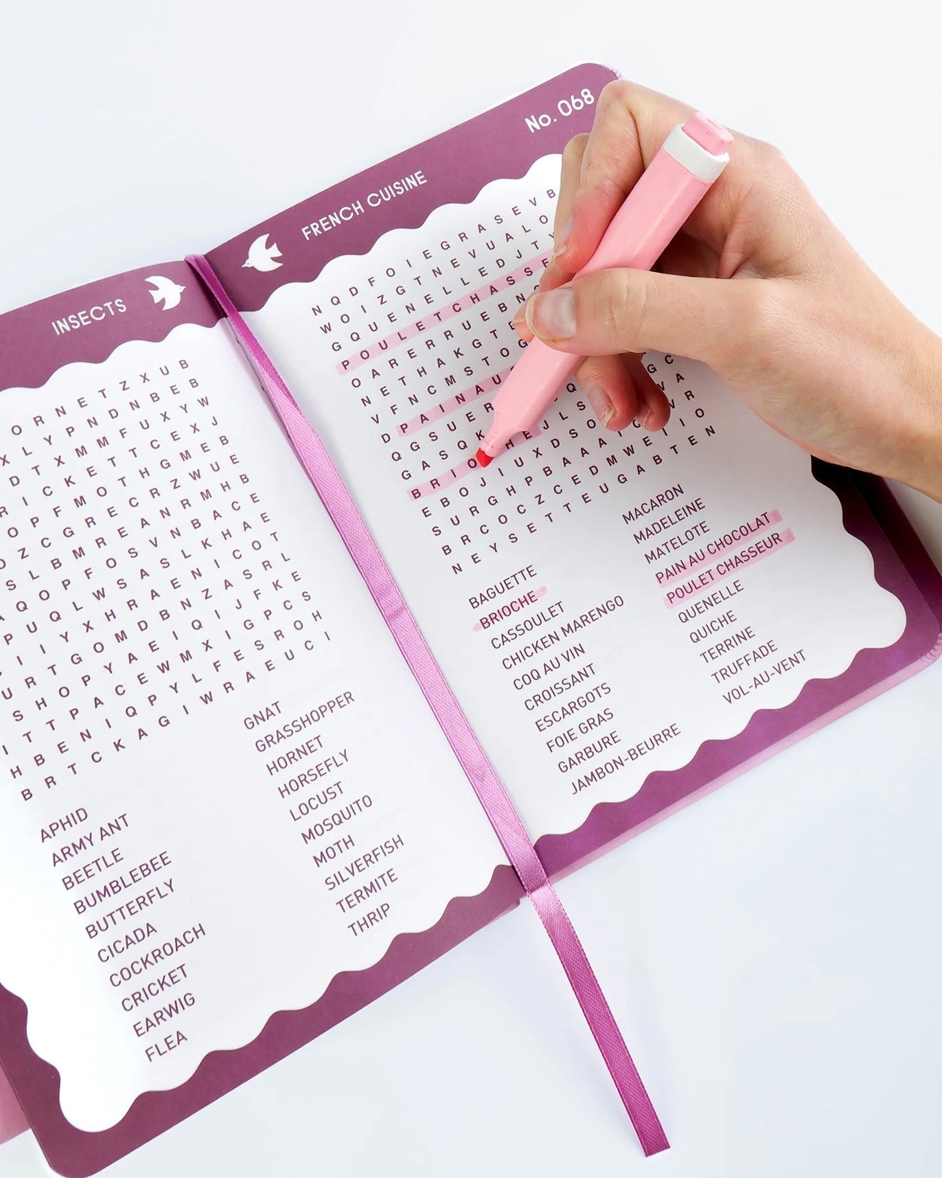 Word Search Book