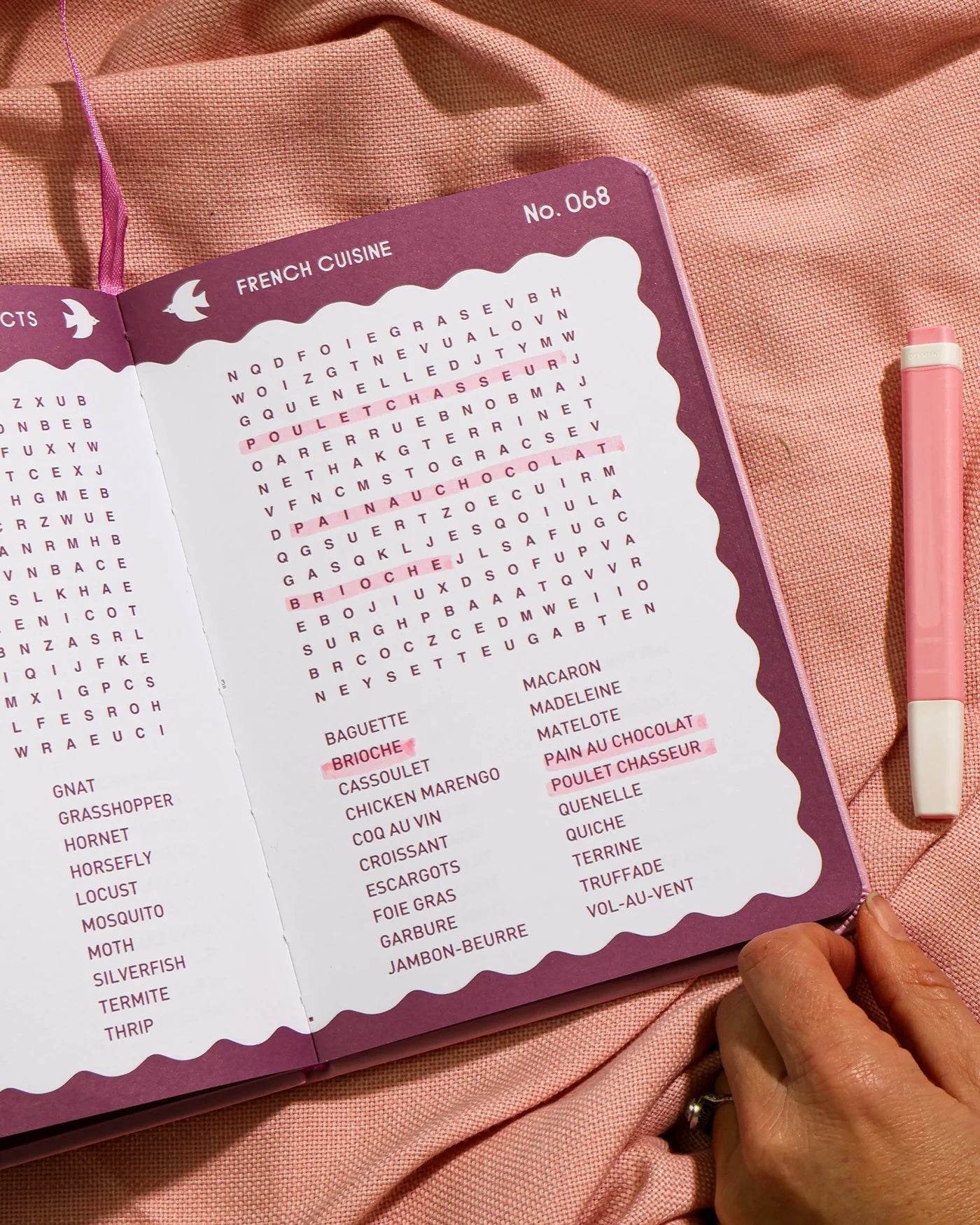 Word Search Book