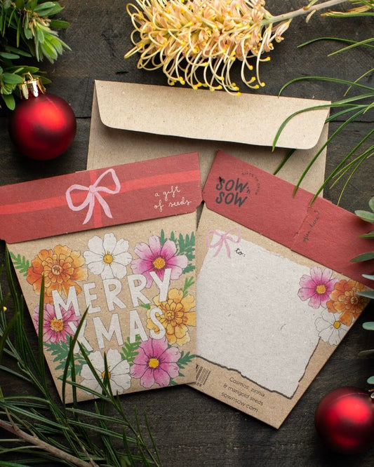 Gift of Seeds (Xmas Blooms)