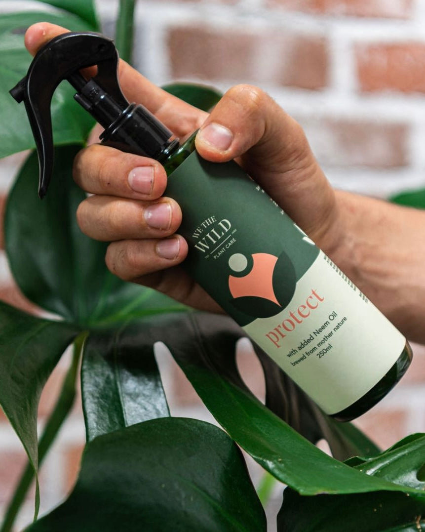 we the wild plant care, leaf health duo , mother's day gift, planter lover, neem oil