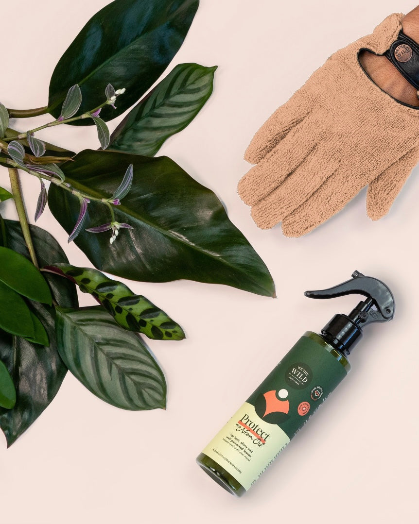 we the wild plant care, proud plant mum, mother's day gift, planter lover, neem oil