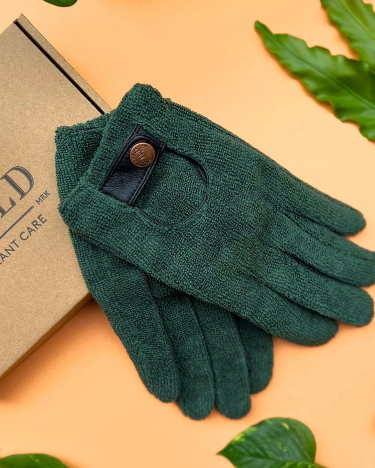we the wild plant care, leaf health duo , mother's day gift, planter lover, neem oil