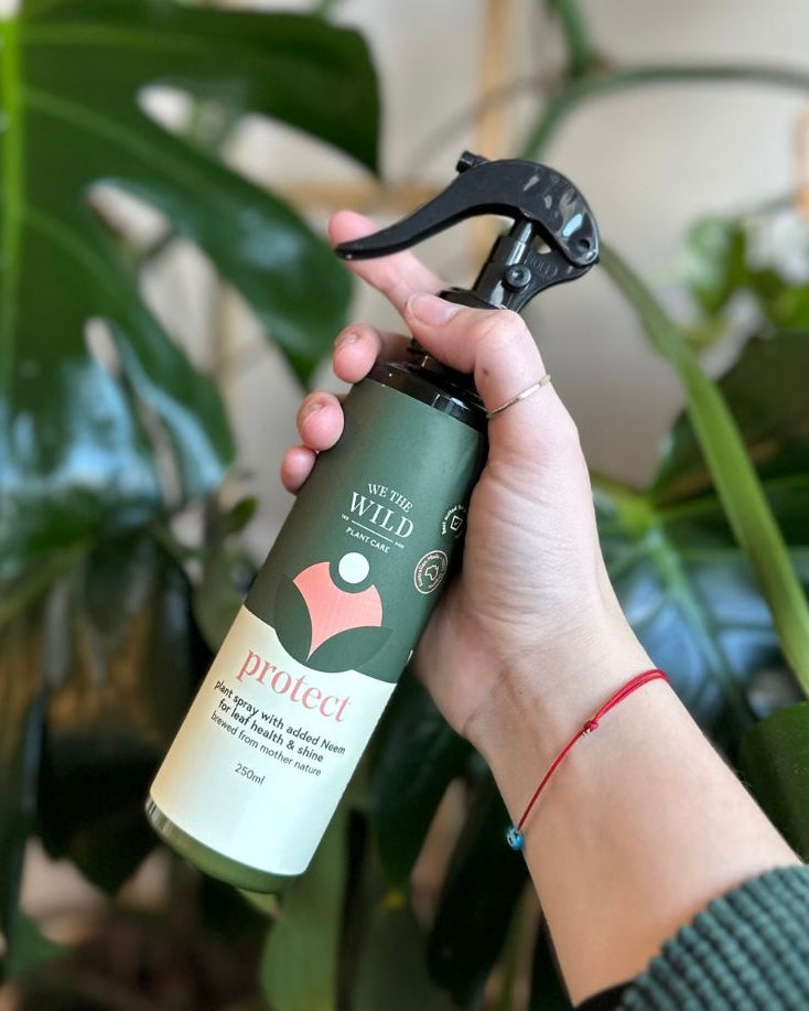we the wild plant care, leaf health duo , mother's day gift, planter lover, neem oil