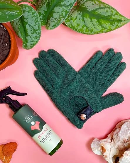 we the wild plant care, leaf health duo , mother's day gift, planter lover, neem oil