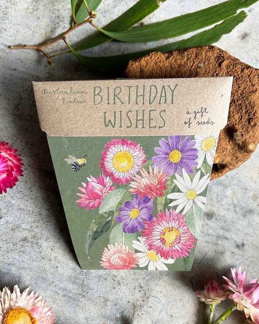 gift of seeds, birthday wishes, sow n sow, birthday card, sustainable, seeds