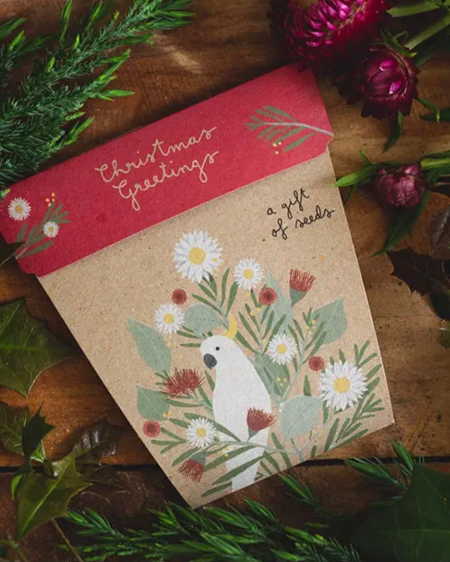 sow n sow, gift of seeds, flowers, christmas card, christmas greetings