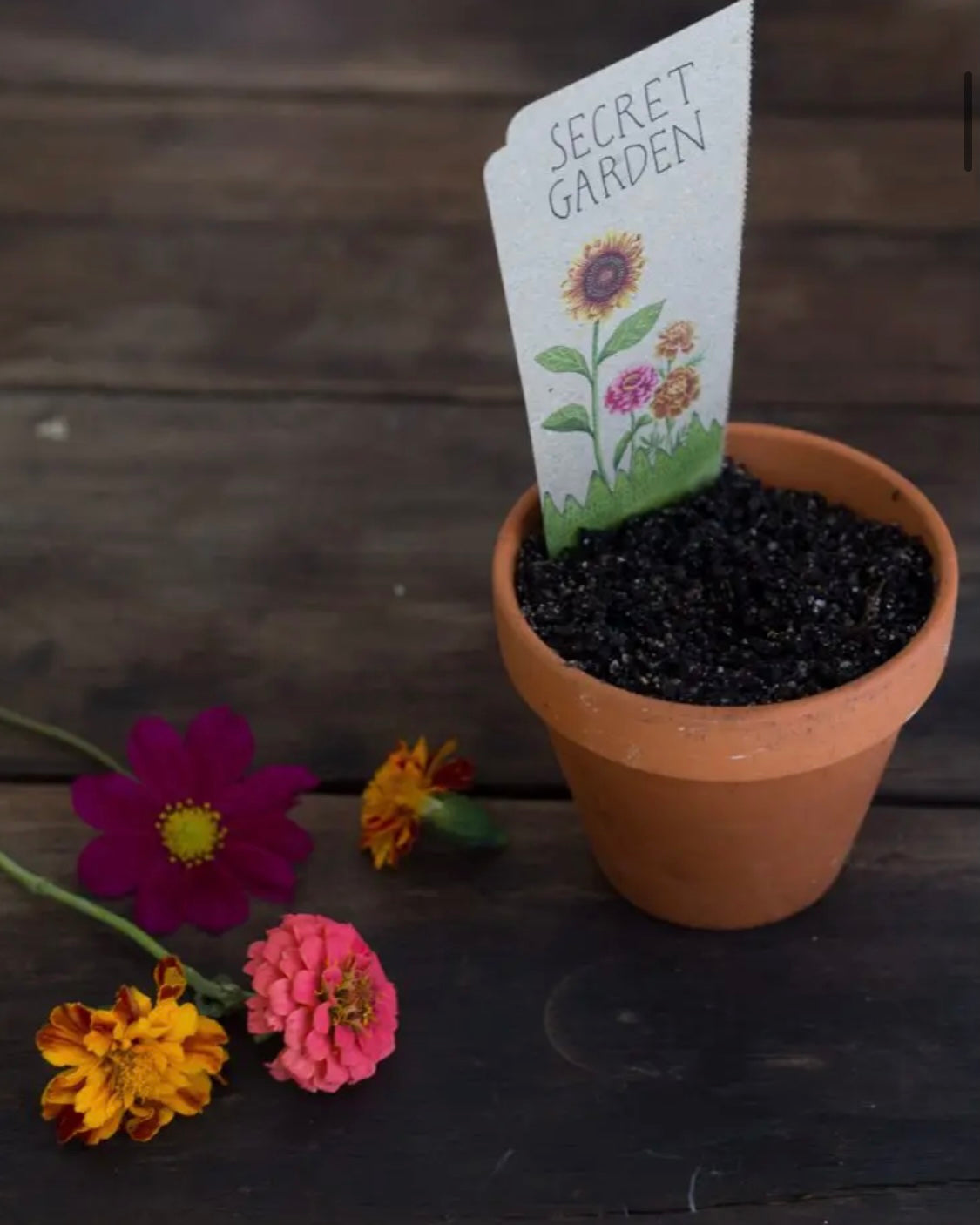 Gift of Seeds (Secret Garden)