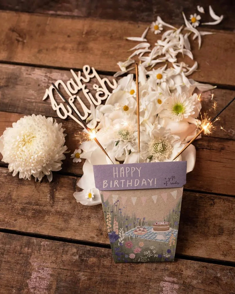 Gift of Seeds (Happy Birthday Picnic)