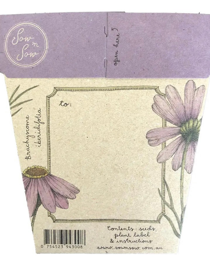 Gift of Seeds (Swan River Daisy)