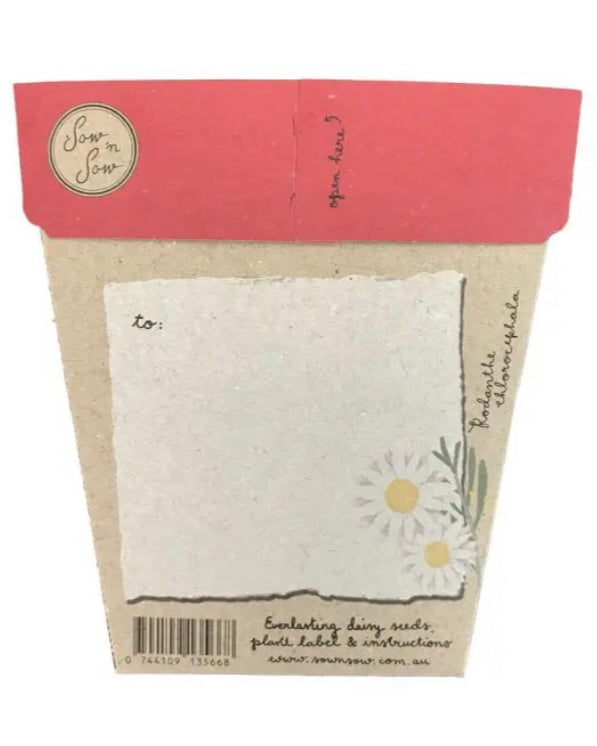 sow n sow, gift of seeds, flowers, christmas card, christmas greetings