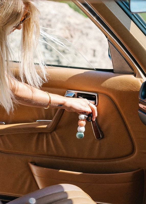 smelly balls, coconut lime, sea pink, car freshener, air freshener