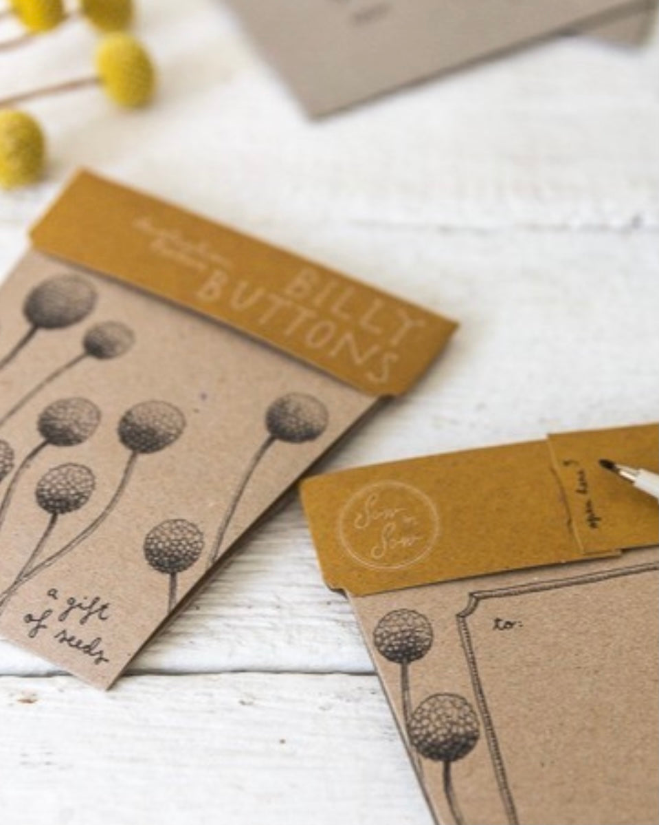 Gift of Seeds (Billy Buttons)