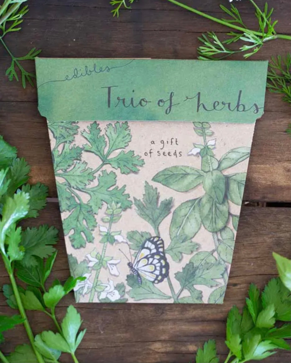 Gift of Seeds (Trio of Herbs)