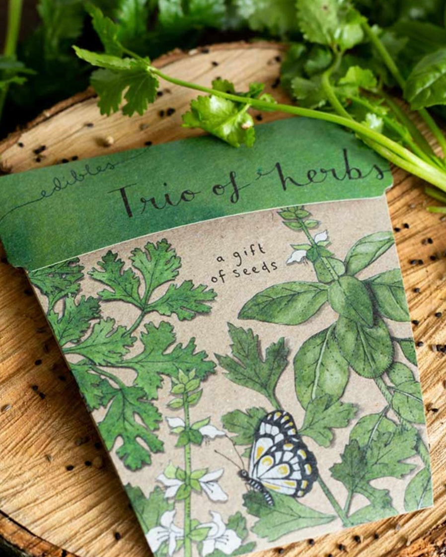 Gift of Seeds (Trio of Herbs)