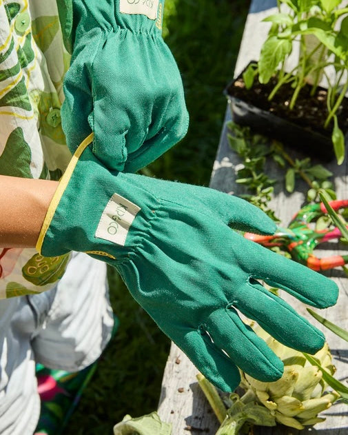 Secateurs and Glove Set (Wildflowers In Bloom)