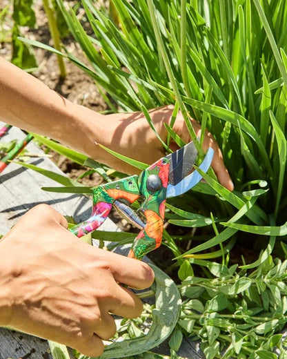 Secateurs and Glove Set (Veggie Soup)