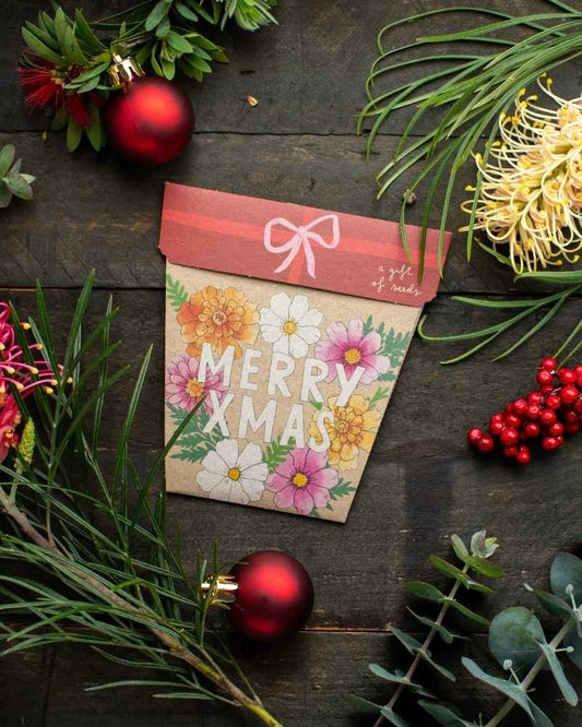 Gift of Seeds (Xmas Blooms)