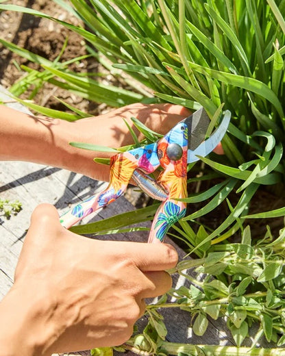 Secateurs and Glove Set (Wildflowers In Bloom)