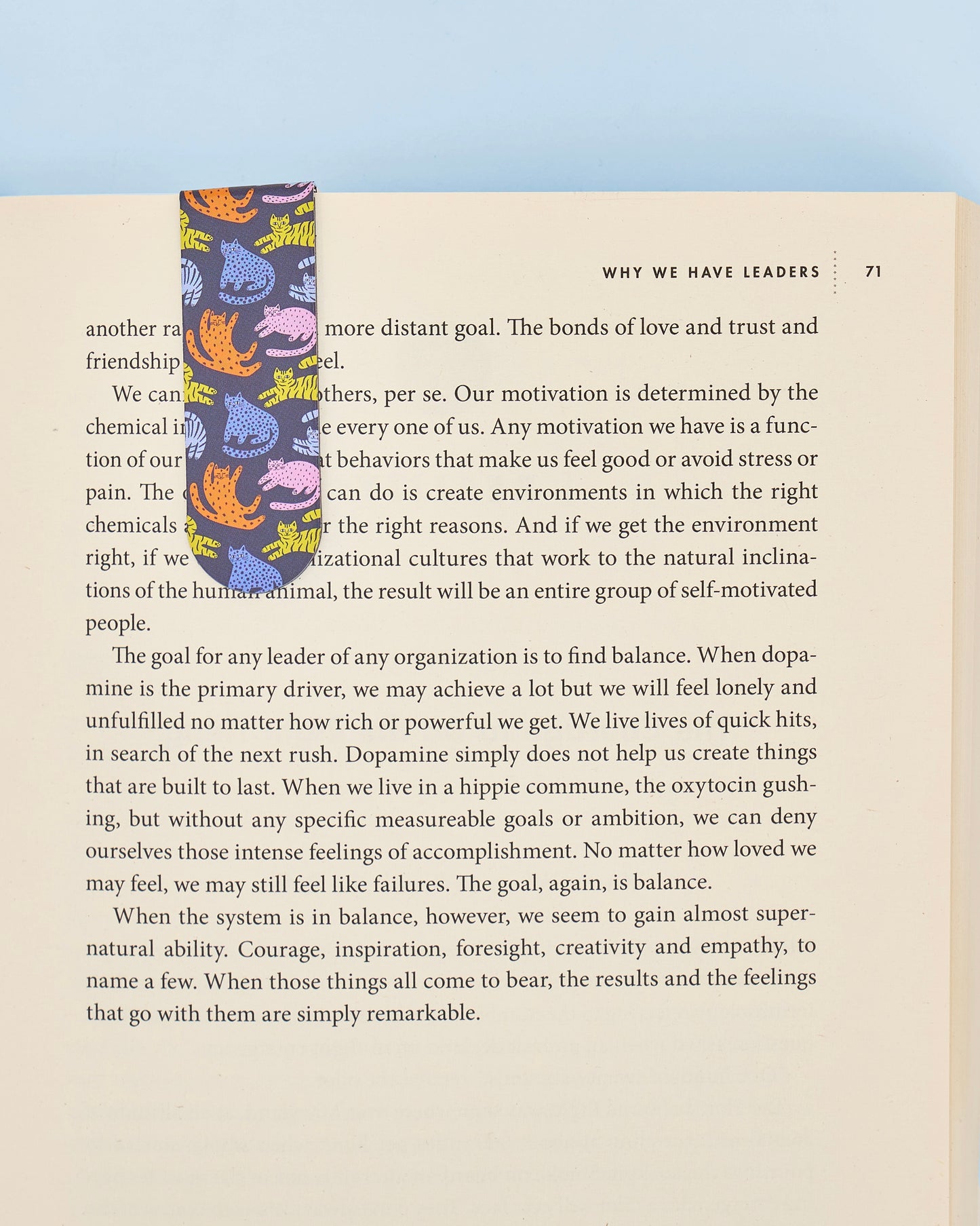 Magnetic Bookmark (Cats)