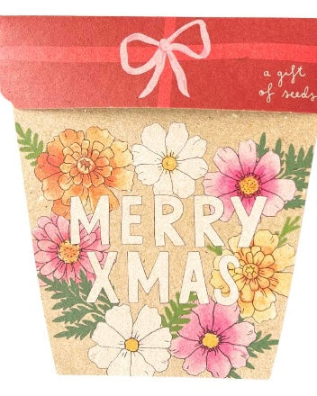 Gift of Seeds (Xmas Blooms)