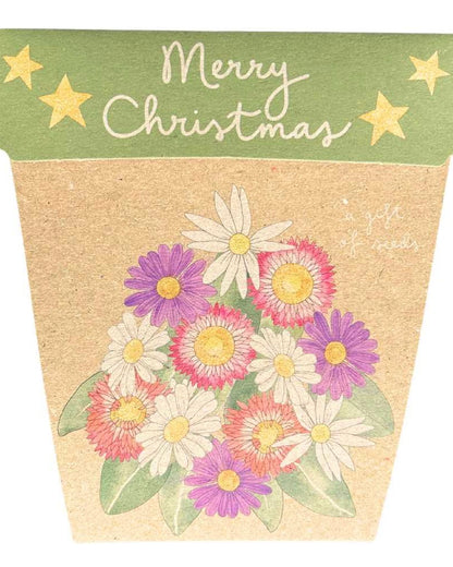 Gift of Seeds (Merry Christmas/Native Daisies)