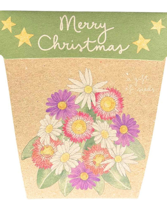 Gift of Seeds (Merry Christmas/Native Daisies)