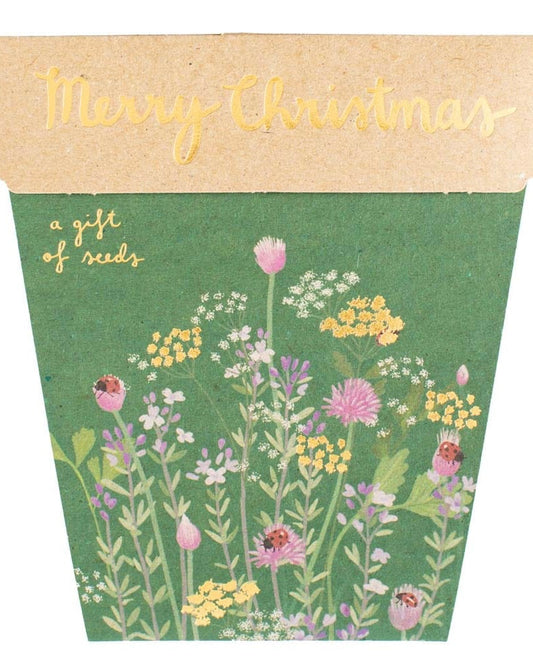 Gift of Seeds (Merry Christmas/Christmas Herbs)
