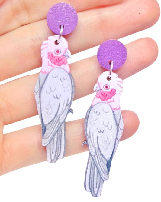 Galah Australian Bird Earrings