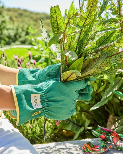 Secateurs and Glove Set (Veggie Soup)