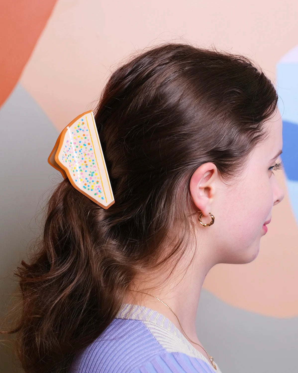 Fairy Bread Hair Claw Clip
