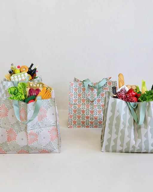 Shopper Bag & Trolley Token Set  (Green)