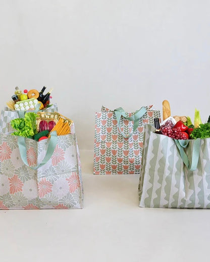 Shopper Bag & Trolley Token Set  (Green)