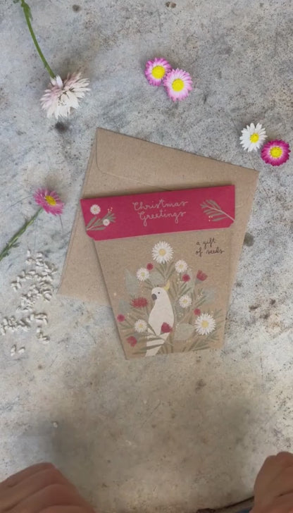 Gift of Seeds (Christmas Greetings)
