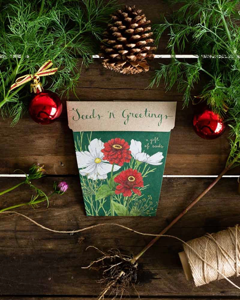 sow n sow, gift of seeds, flowers, christmas card,  seeds n greetings
