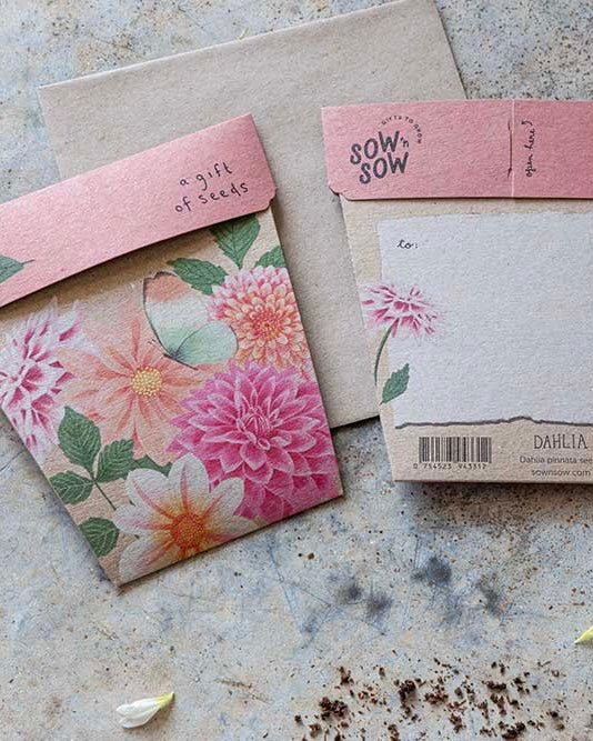 gift of seeds, sow n sow, dahlias, card, flowers, seeds, eco friendly card