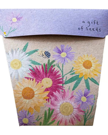 gift of seeds, native daisies, greeting card, sow n sow