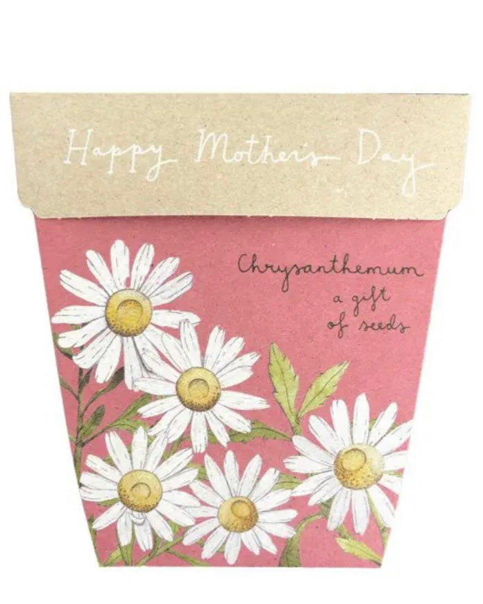 Mother's Day Gift of Seeds (Chrysanthemums)