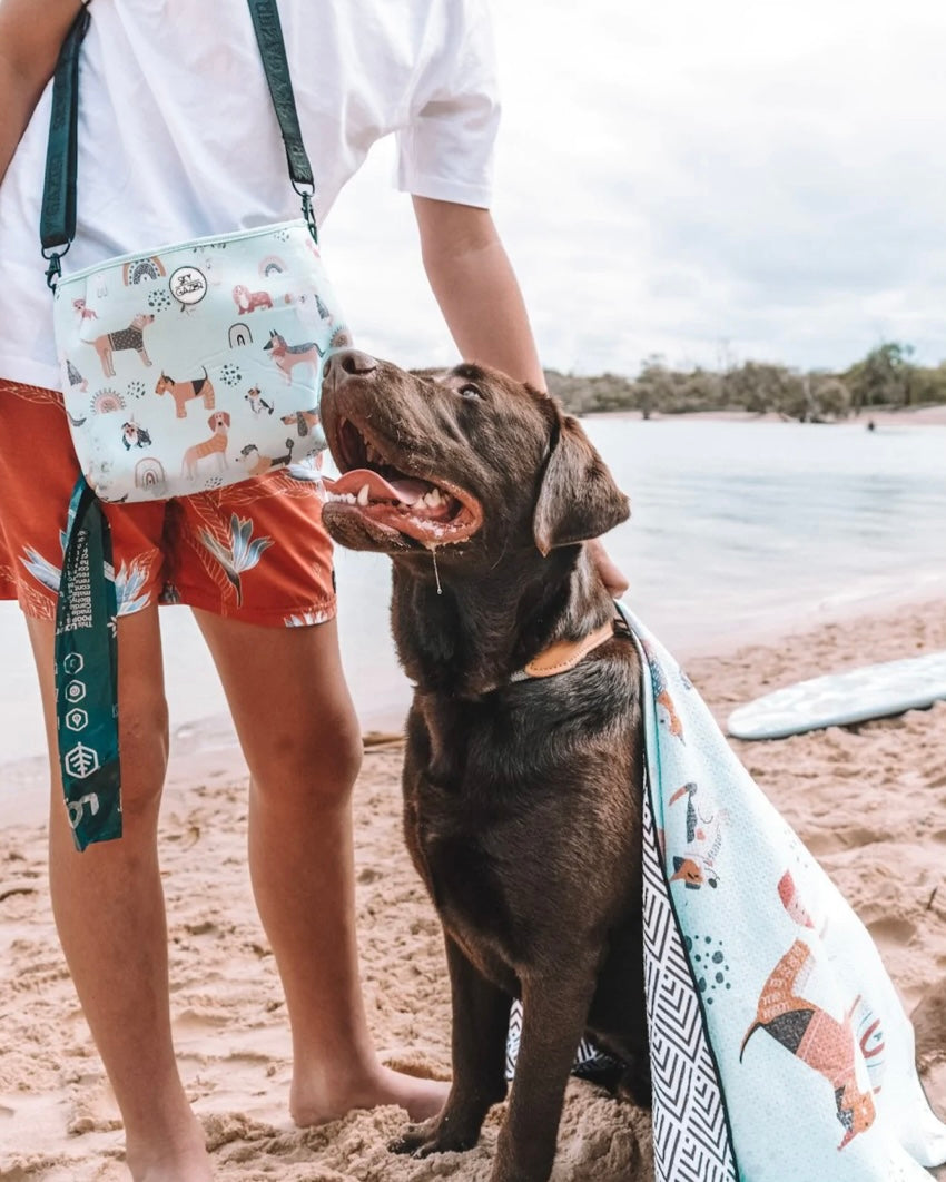 sky gazer, skygazer, sand resistant, sand free, beach towel, dog towel, rocky, towel