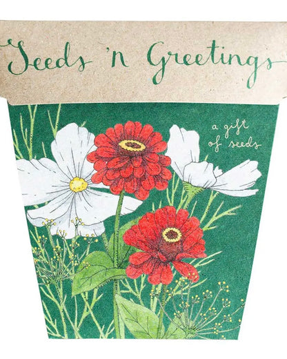 sow n sow, gift of seeds, flowers, christmas card,  seeds n greetings