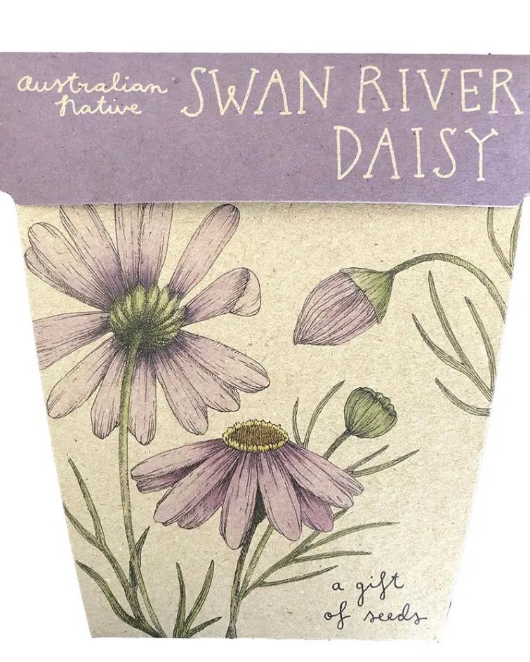 Gift of Seeds (Swan River Daisy)