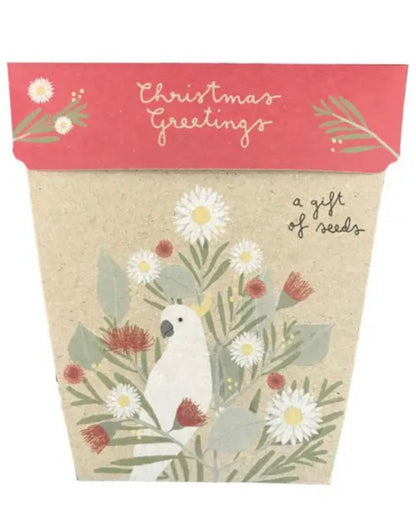 sow n sow, gift of seeds, flowers, christmas card, christmas greetings
